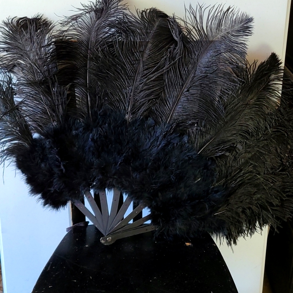Feather fan